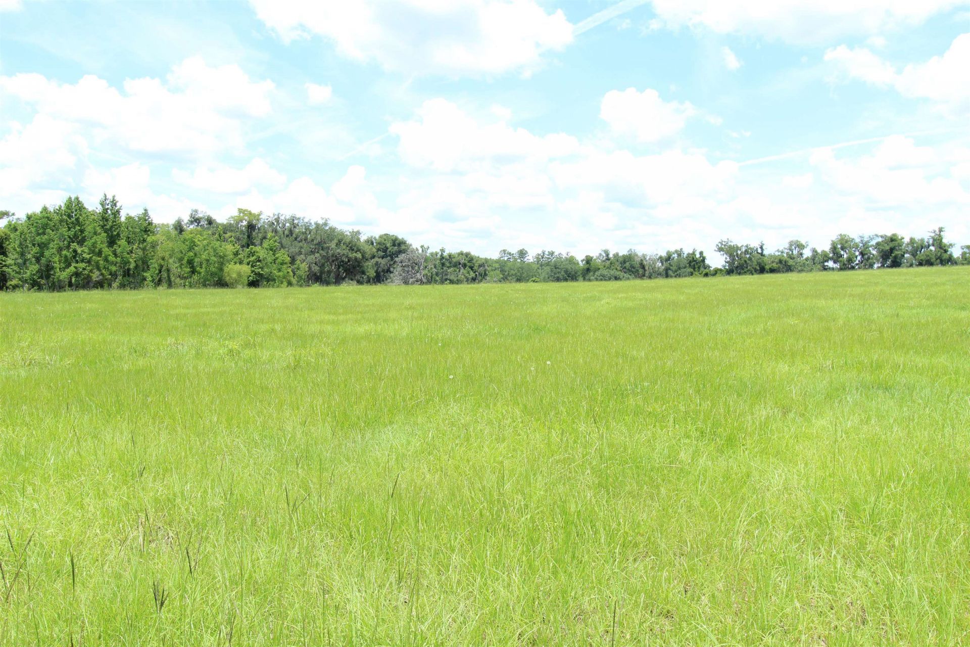 916 SW Cr 360, Madison, FL 32340 Photo