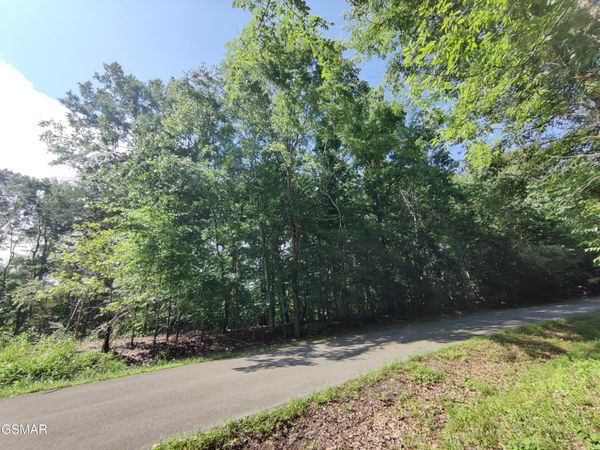 3347 Mountain View Lane, Baneberry, TN 37890