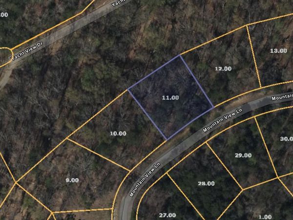 3347 Mountain View Lane, Baneberry, TN 37890