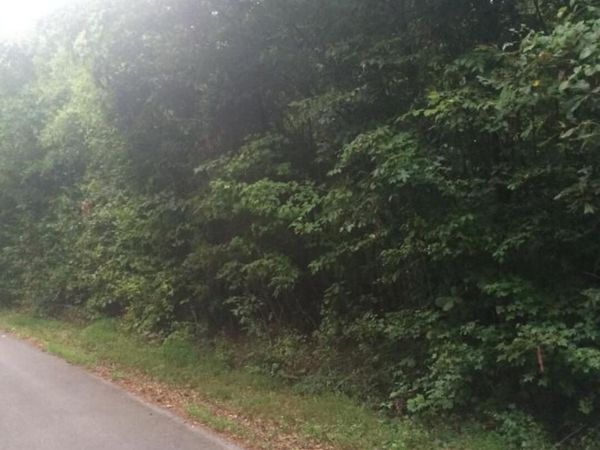 3347 Mountain View Lane, Baneberry, TN 37890
