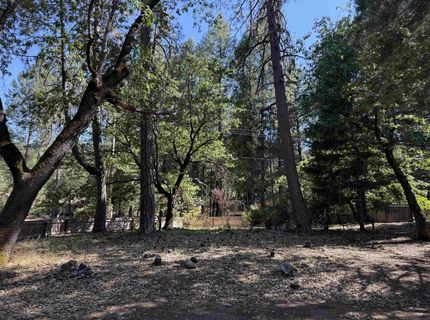 169 Riverview Lane, Twain, CA 95984 Photo