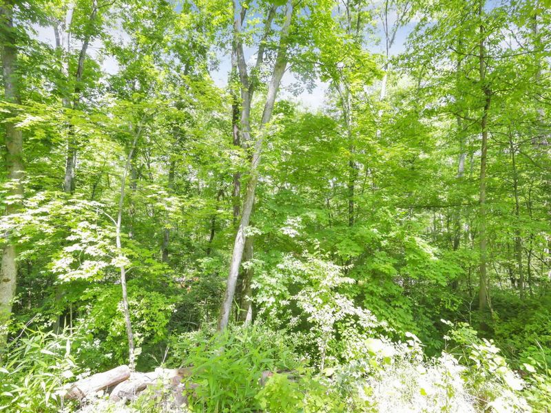 19354 DEERBERRY Lane , Rockbridge, OH 43149 Photo 38