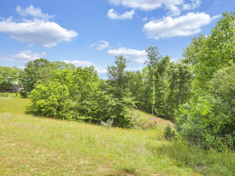 19354 DEERBERRY Lane , Rockbridge, OH 43149 Photo 44
