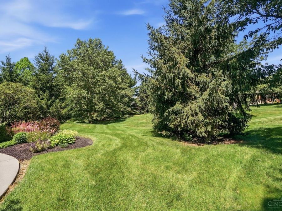 Property Image 61