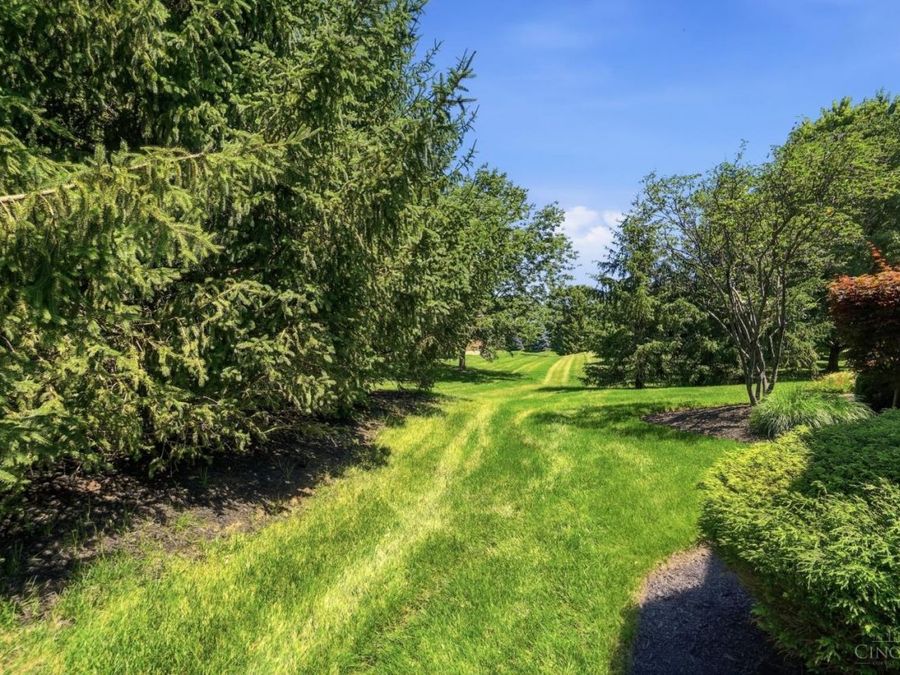 Property Image 62
