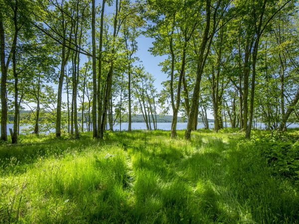 914 Union Road , Appleton, ME 04862