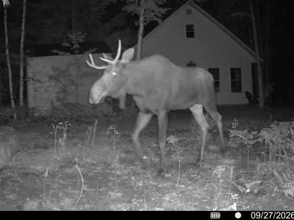 Off Route 192, Wesley, ME 04686