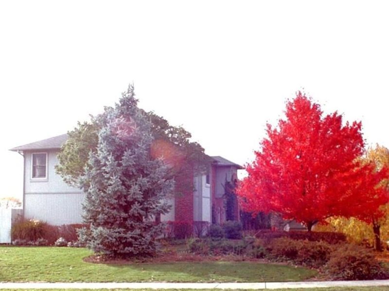 5 Brookfield Court, Springboro, OH 45066 Photo 19