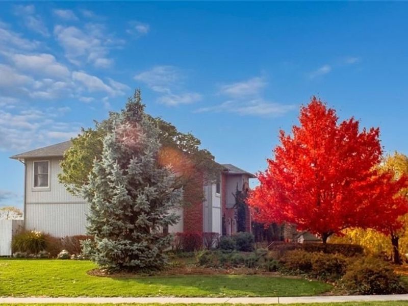 5 Brookfield Court, Springboro, OH 45066 Photo 19