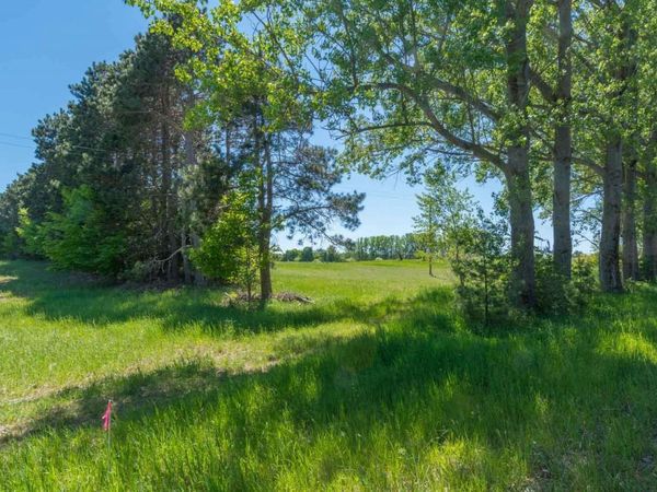 Ryant Road W, Maple City, MI 49664
