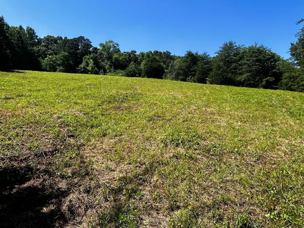1060 County Road 130 , Riceville, TN 37370