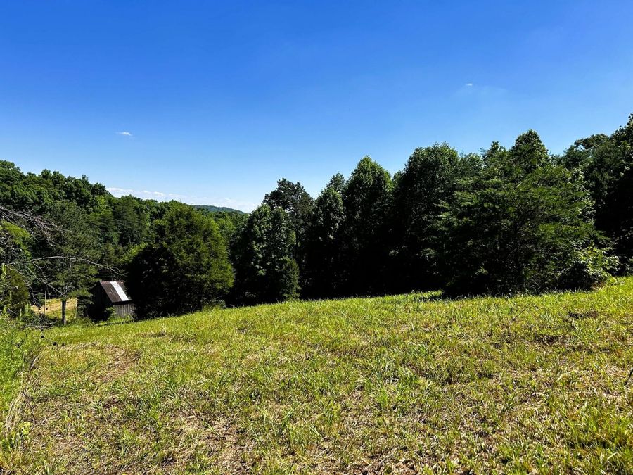 Property Image 40