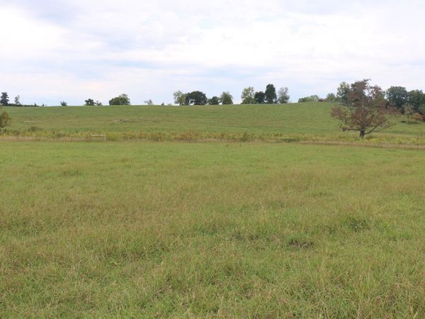 1163 County Road 461 , Englewood, TN 37329