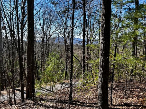 107125 Chestnut Mountain Road , Reliance, TN 37369