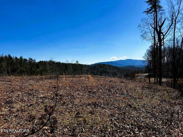 107125 Chestnut Mountain Rd , Unit 1, Reliance, TN 37369