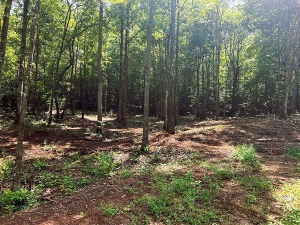 8 Pleasant Hill Road, Ten Mile, TN 37880