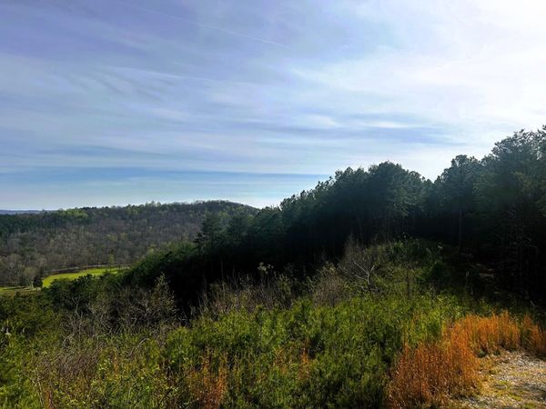 7 SW Owl Hollow Road , Mc Donald, TN 37353