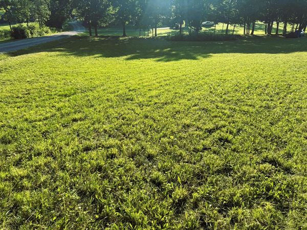 0 County Road 571 , Englewood, TN 37329