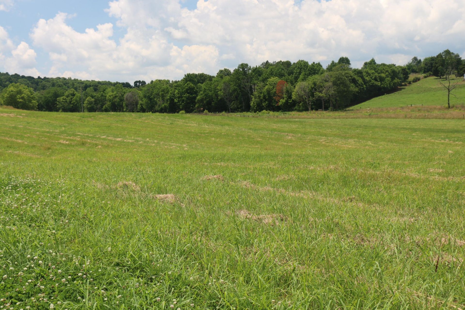 5 County Road 461 , Lot #5r, Englewood, TN 37329 Main Photo