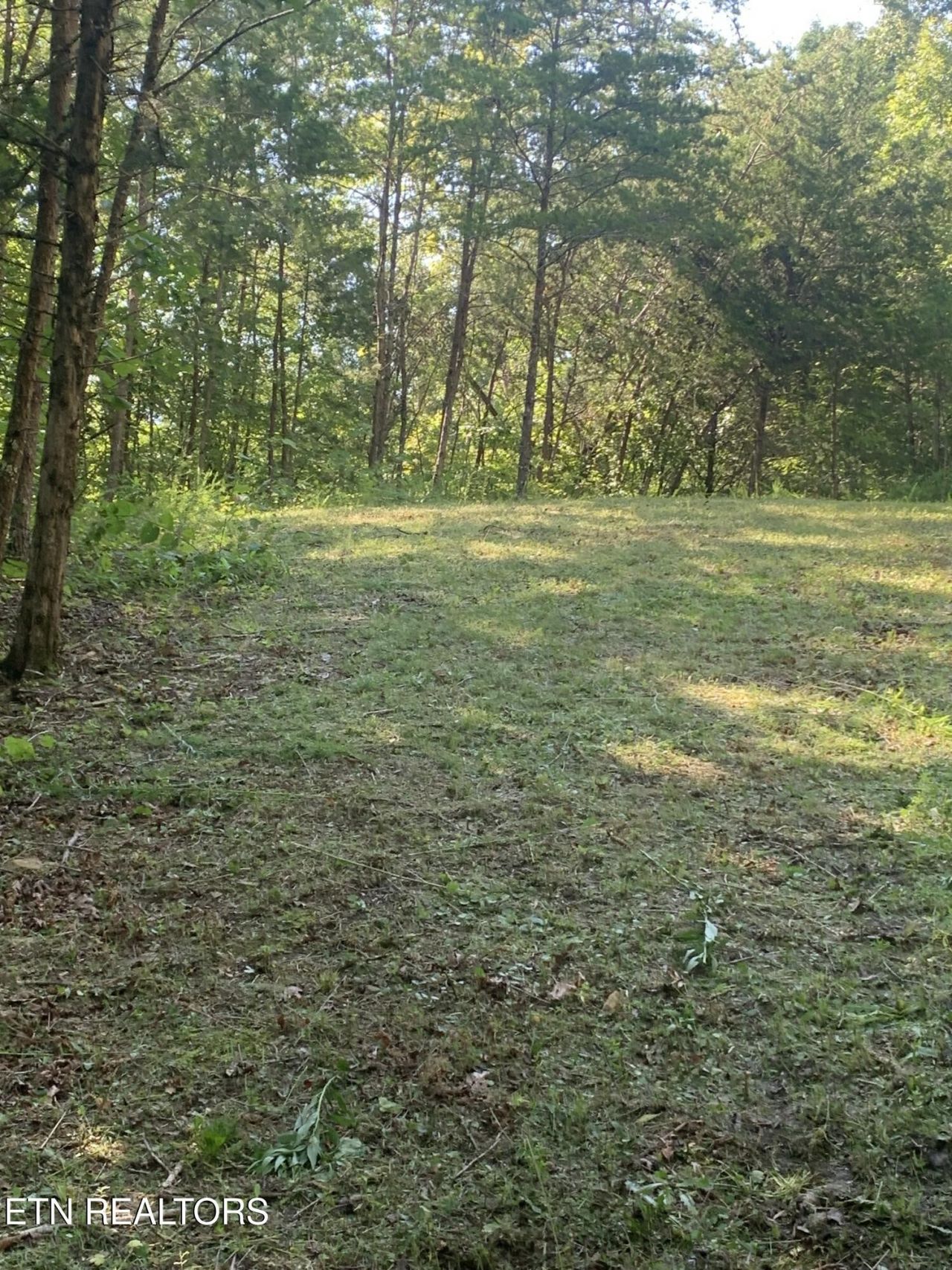 0 Vera Lane , Dandridge, TN 37725 Main Photo