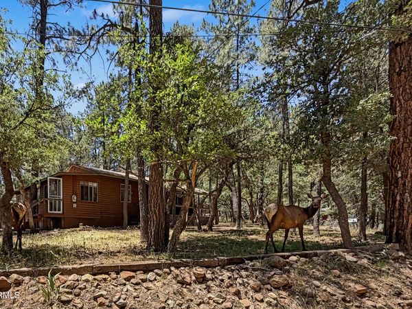 3780 N HUNT Drive, Pine, AZ 85544