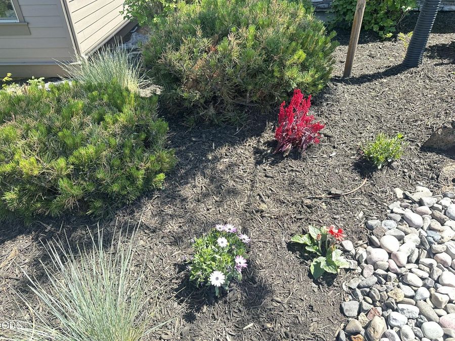 Property Image 57