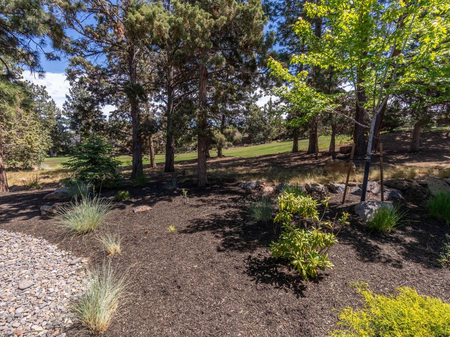 Property Image 68