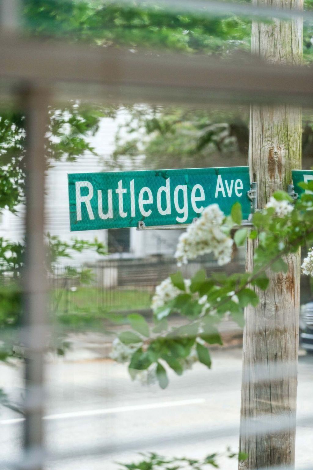 246 Rutledge Avenue Photo 29