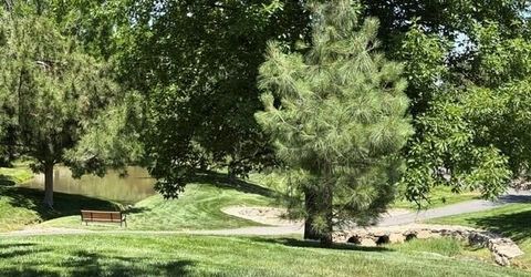 1240 Greenwich Way, Reno, NV 89519 Photo