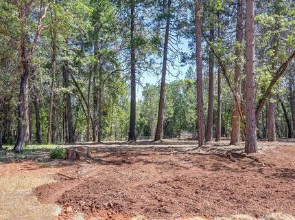 5347 Reservoir Rd, Georgetown, CA 95634 Photo