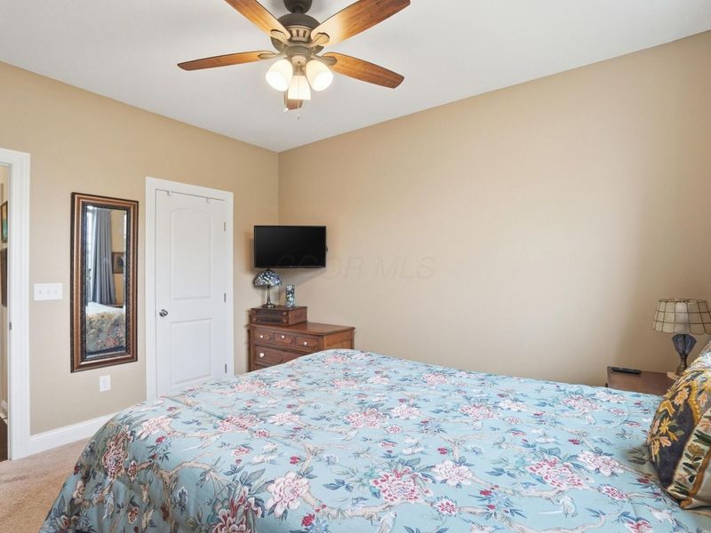 459 White Fawn Run, Delaware, OH 43015 Photo 56