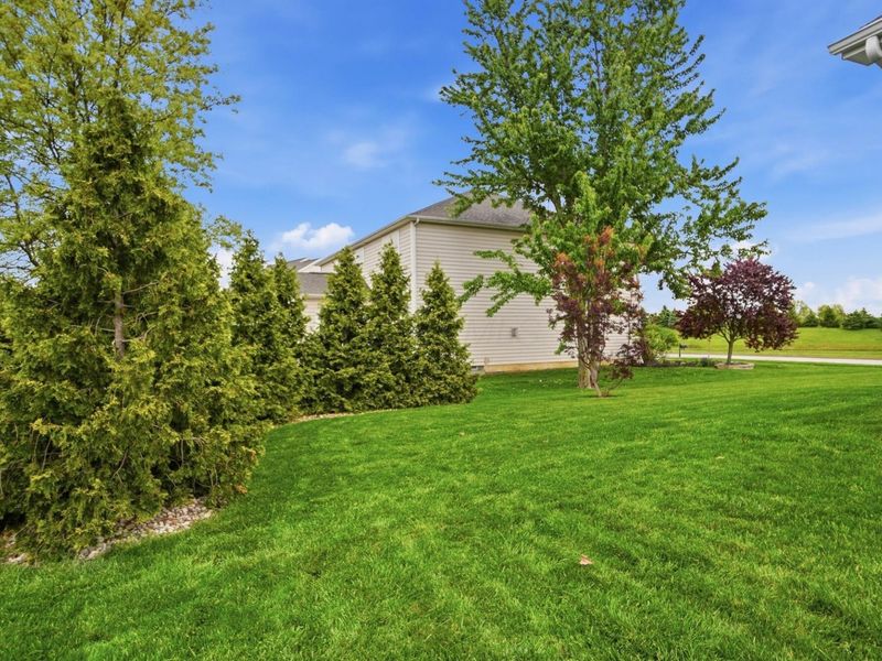 459 White Fawn Run, Delaware, OH 43015 Photo 94