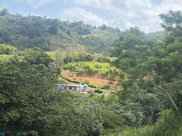Km 1.1 CARR 773, Barranquitas, PR 00794