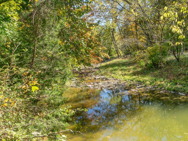 3910 Taft HWY, Dry Ridge, KY 41035 Photo 41