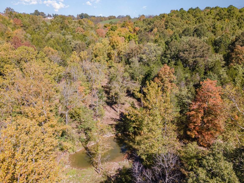 3910 Taft HWY, Dry Ridge, KY 41035 Photo 45