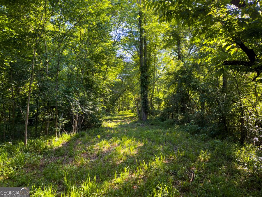 Property Image 98