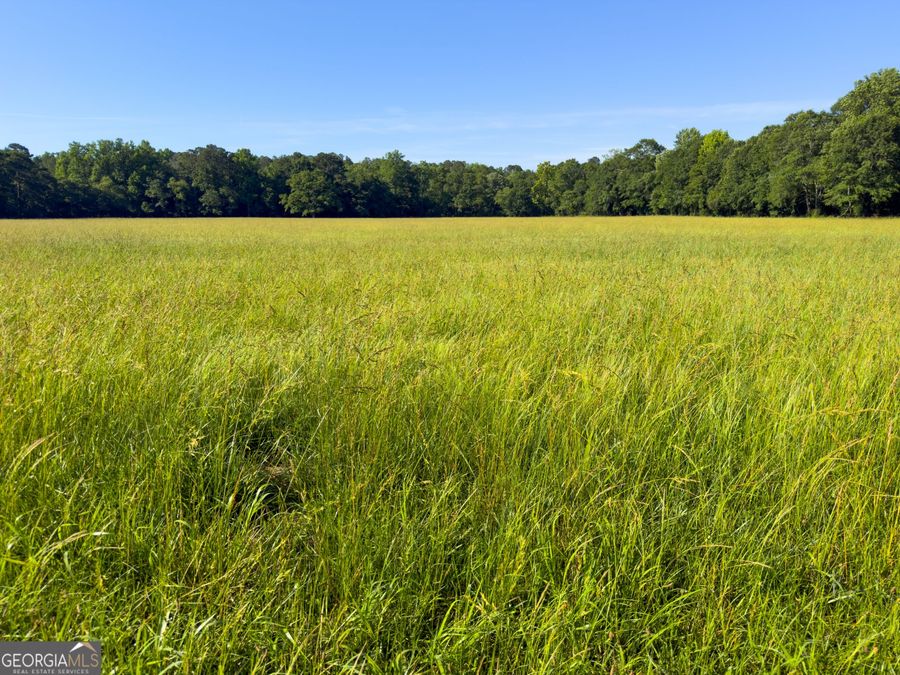 Property Image 100