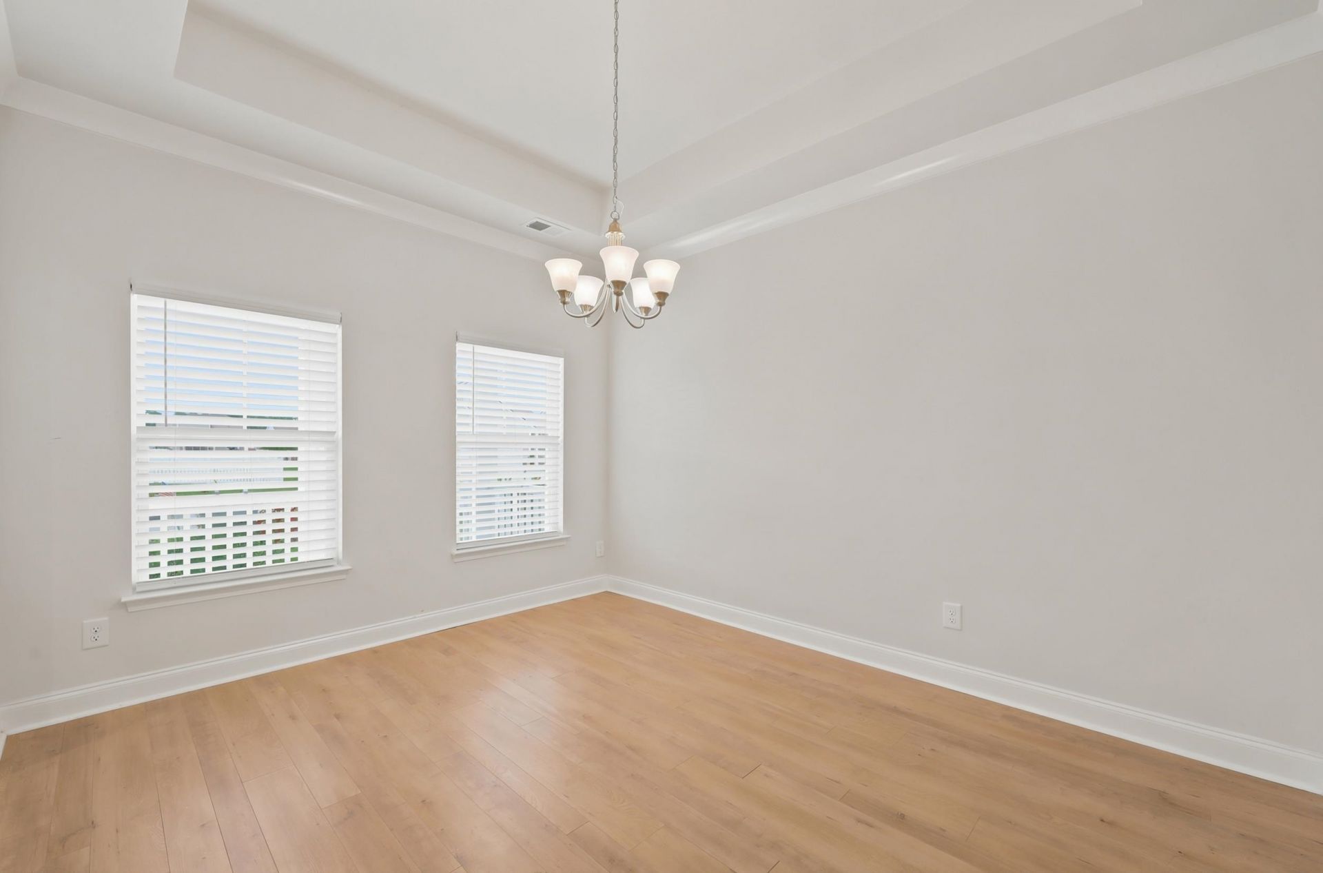 867 Brant St.  Photo 21