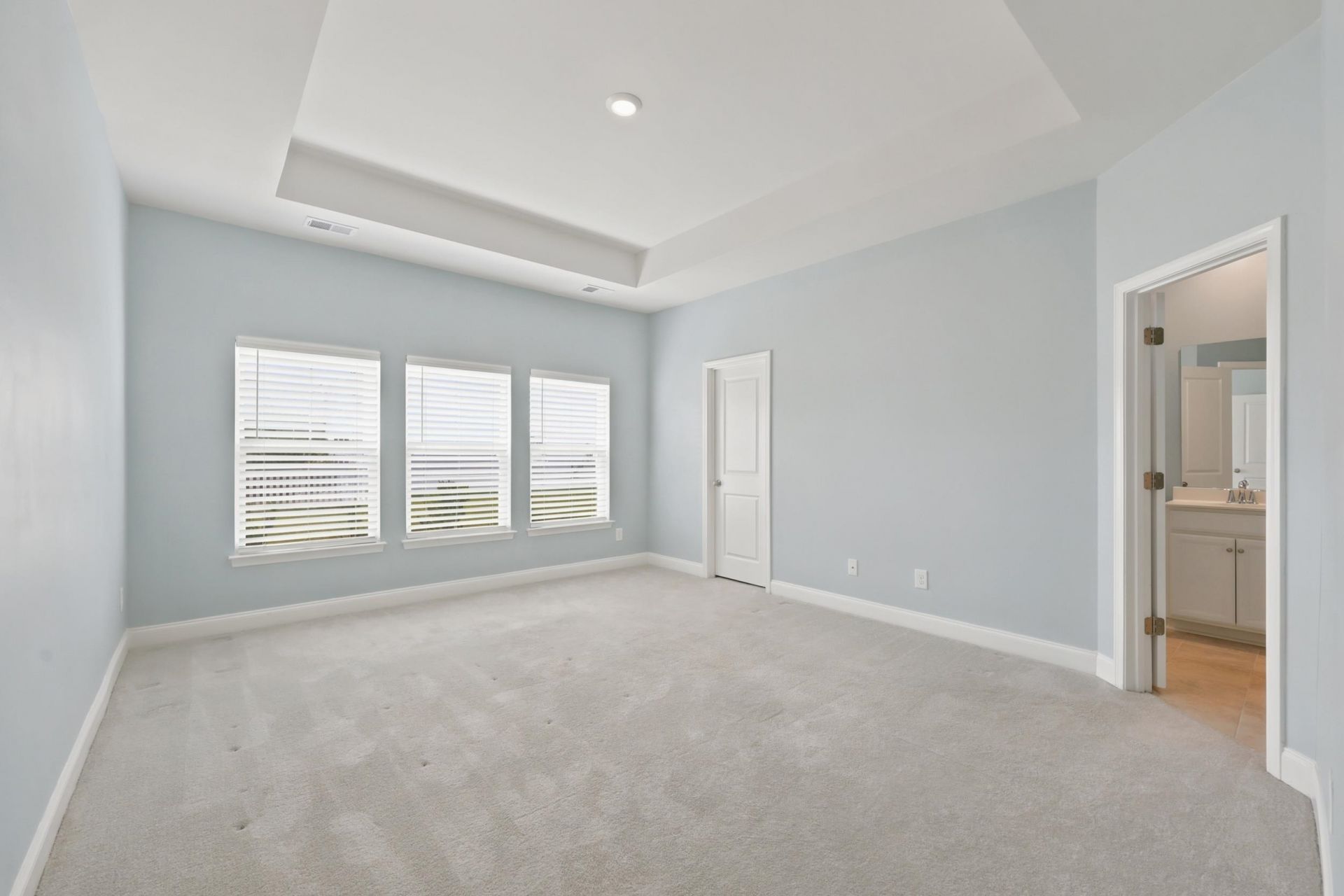 867 Brant St.  Photo 37