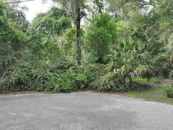 18731 SW 79TH PLACE , DUNNELLON, FL 34432