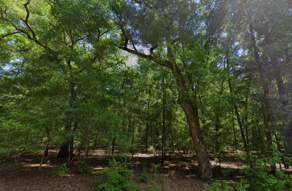 Ne Willow Bend Terrace , Lee, FL 32059 Photo