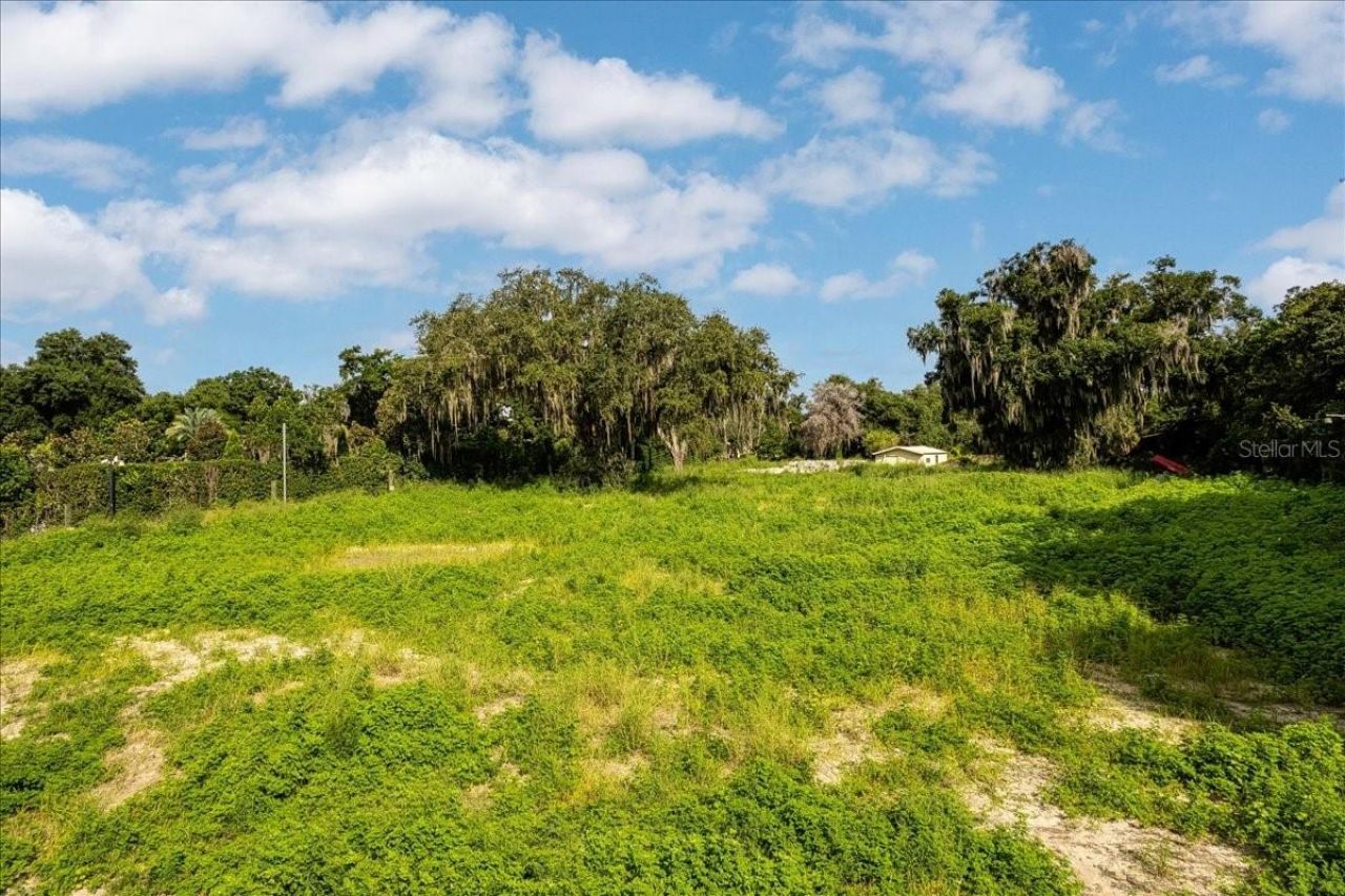 12422 Park Avenue , Windermere, FL 34786 Photo
