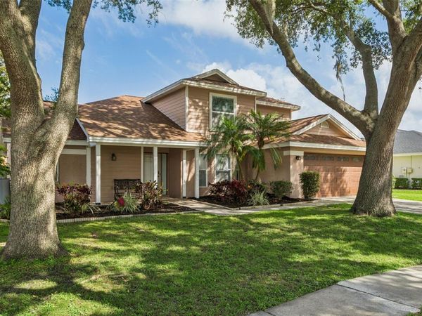 19511 WYNDMILL CIRCLE , ODESSA, FL 33556