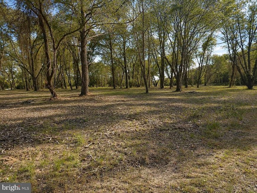 Lot 1 Red Hill Lane , Nanticoke, MD 21840 Main Photo