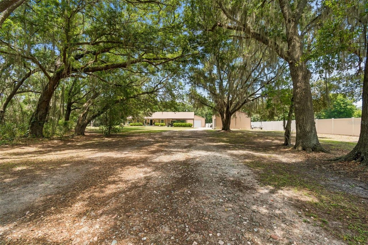 10501 Sherrouse Road, Lakeland, FL 33810 Photo