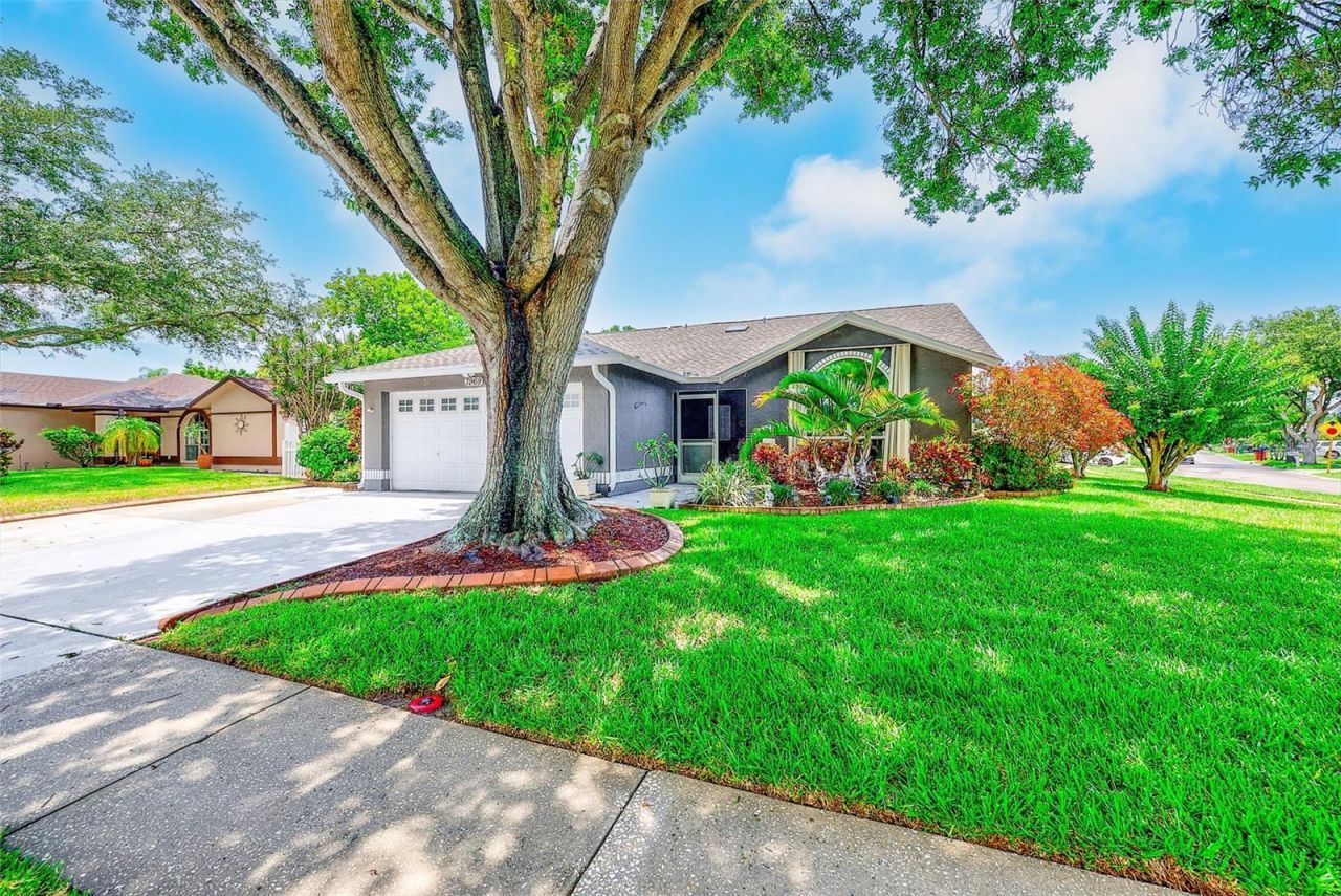 7969 Somerset Drive, Largo, FL 33773 Photo