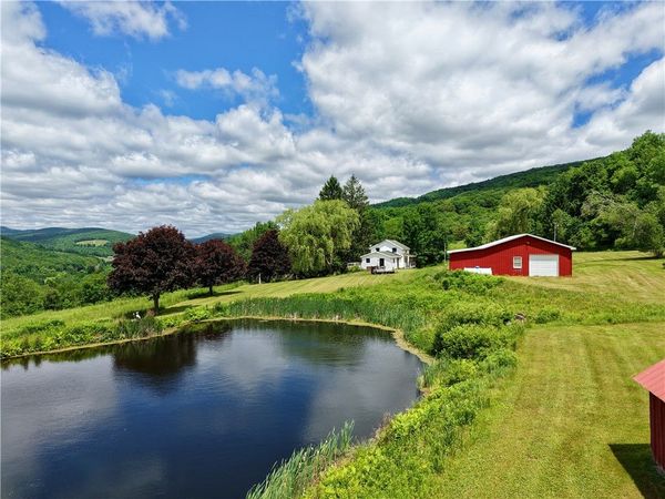 240 Dowie Road , Andes, NY 13731