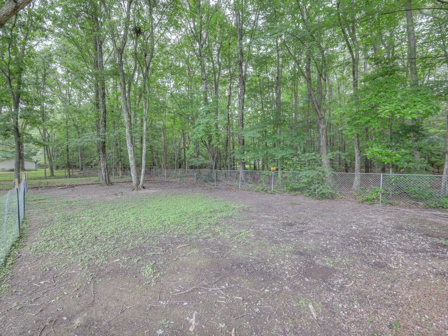 Property Image 54