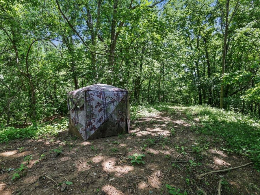 Property Image 37