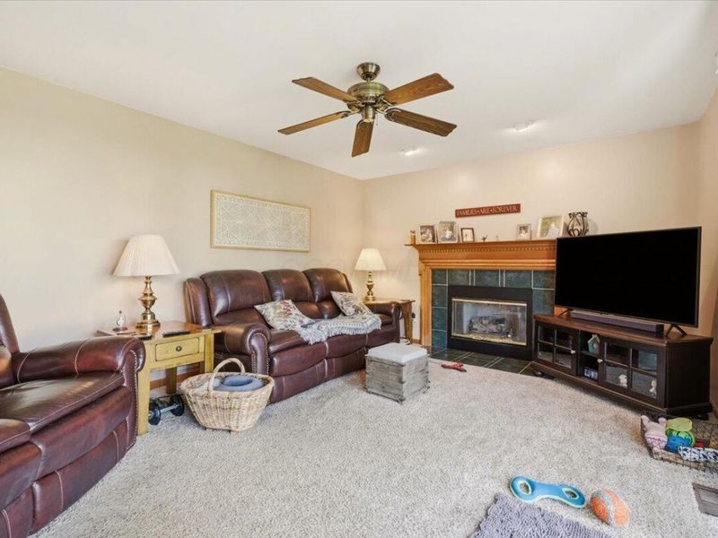 1324 Cottonwood Drive , Lewis Center, OH 43035 Photo 19